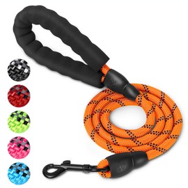 UrbanX Heavy Duty Dog Leash with Comfortable Padded Handle and Highly Reflective Threads for Golden Retriever Corgi and Other Large Mixed Breed Dogs (4FT, Orange)