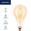 FLSNT LED Large Decorative Pendant Light Bulbs 60W Equivalent, Dimmable