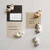 Cute 6 Pack Fun Cat Refrigerator Magnets Office Magnet Cute