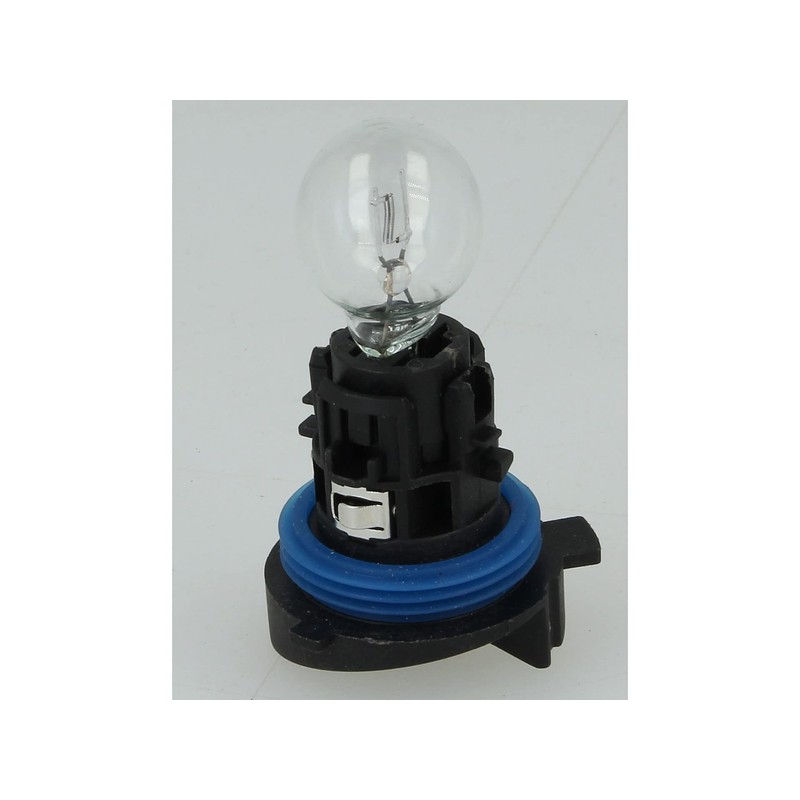 CARALL Halogen Bulbs 12 V for Cars (HP24W 12V 24W)