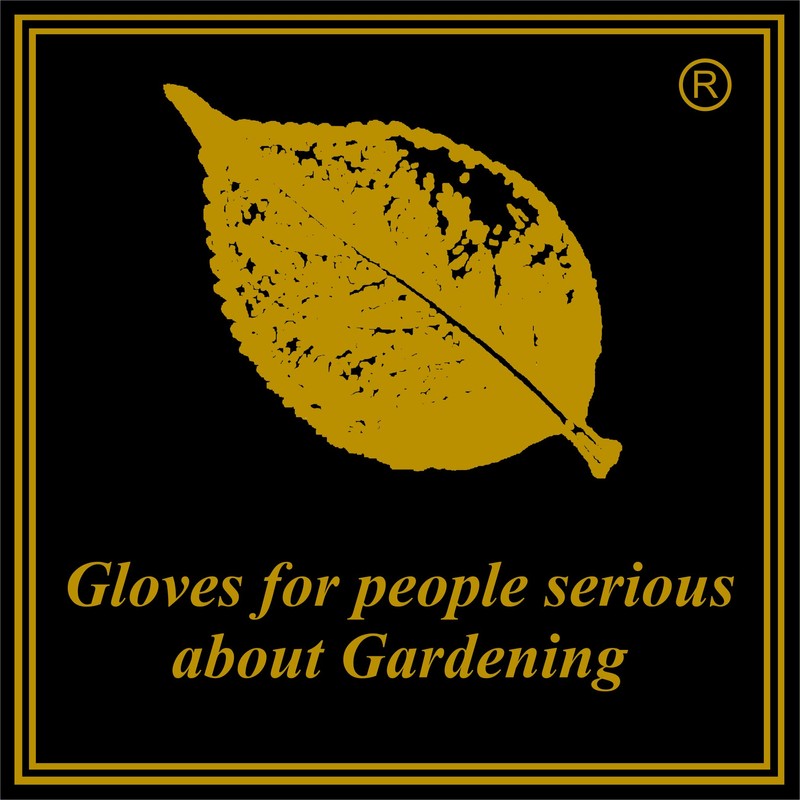 Gold Leaf TOUGH TOUCH Deluxe Deerskin Leather RHS Thorn Resistant
