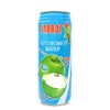 Parrot Brand Coconut Water No Pulp 500ml 16.9 fl. oz.(Pack