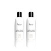Bayes Premium High Performance Leather Upholstery Cleaner and Conditioner -