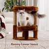 AGUPET 2-Tier Indoor Cat Tree Tower with Raised Cat Beds