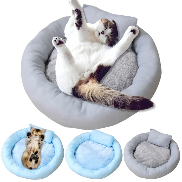 JOLLYPALS Cat Bed with Cute Pillow - Cozy Headrest and