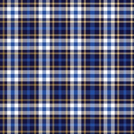 Jillson Roberts Gift Wrap, Blue Plaid, Quarter Ream 208 feet x 30 inches