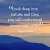 Fabulous Poster Albert Einstein Look Deep Inspirational Quote Motivation
