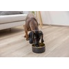 Kerbl Pet Golden Stainless Steel Bowl for Dogs and Cats,