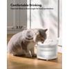 HomeRunPet Wireless Pump Cat Water Fountain - Detachable Design for