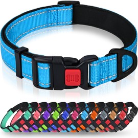 Taglory Reflective Dog Collar with Safety Locking Buckle, Adjustable Nylon Padded Pet Collars for Medium Dogs, SkyBlue, L