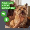 FRONTLINE Plus Flea and Tick Treatment for Medium Dogs Up