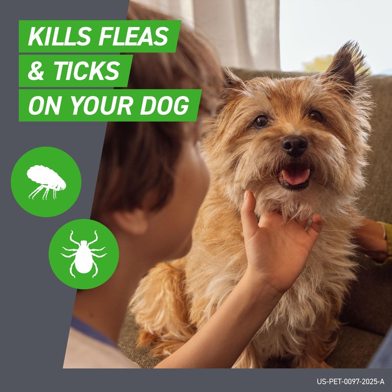 FRONTLINE Plus Flea and Tick Treatment for Medium Dogs Up