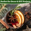 30–35PCS Dried Whole Rosemary Sprigs, 2.5oz Natural Spices in Clear-Window
