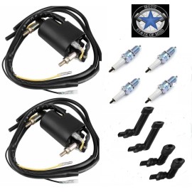 Unbranded 2X SUZUKI GS1150 GS1100 GS1000 GS850 GS750 12V 4ohm Dual Output Ignition Coil