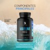 Magnesio Marino De 240 Cápsulas 100% Natural B Life