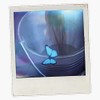 Life is Strange Butterfly Effect Bumper Sticker Vinyl Decal 5"