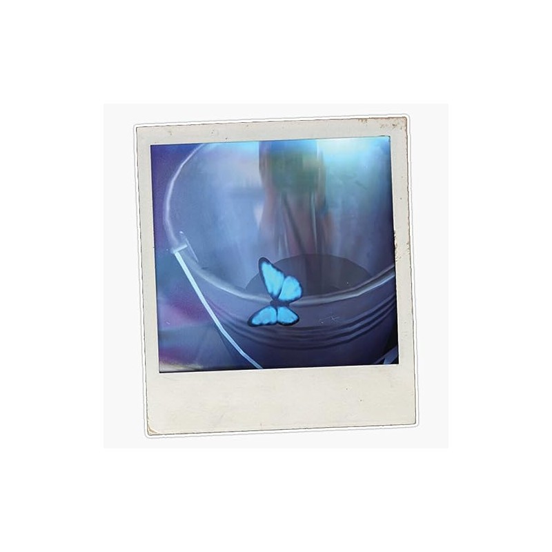 Life is Strange Butterfly Effect Bumper Sticker Vinyl Decal 5"