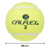 Sakurai Calflex LB-450 Tennis Ball, Hard, Non-Pressure, 2 Balls, Yellow