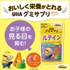 ＵＨＡグミサプリＫＩＤＳ ルテイン ２０日分 ミニオン 2個セット おまけ付き