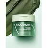 Isntree Mugwort Calming Deep Cleansing Balm 100ml / 이즈앤트리 머그워트