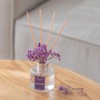 Fresh Lavender Reed Diffuser Set - 3.38 fl oz (100ml)