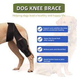 NIUBNKJ Dog Knee Brace for ACL Tear Adjustable ACL Knee Brace for Dogs Front or Rear Leg, Hip Dysplasia, Arthritis, Ligament Injuries Leg Support Brace for Canine Recovery (M)