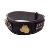 Unique Cane Corso GOLD Heavy Duty 2.5 inch Wide Leather
