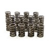 Isky Racing Cams 205-D Valve Spring