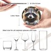 6 Pack Cute Raccoon Leather Coaster with Holder for Drinks-