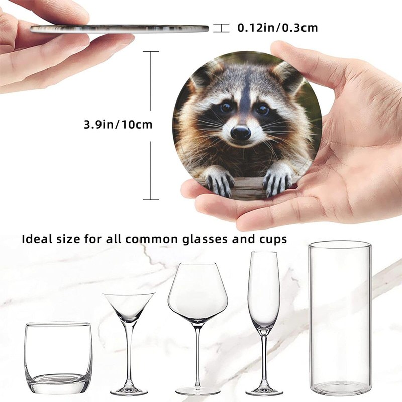 6 Pack Cute Raccoon Leather Coaster with Holder for Drinks-