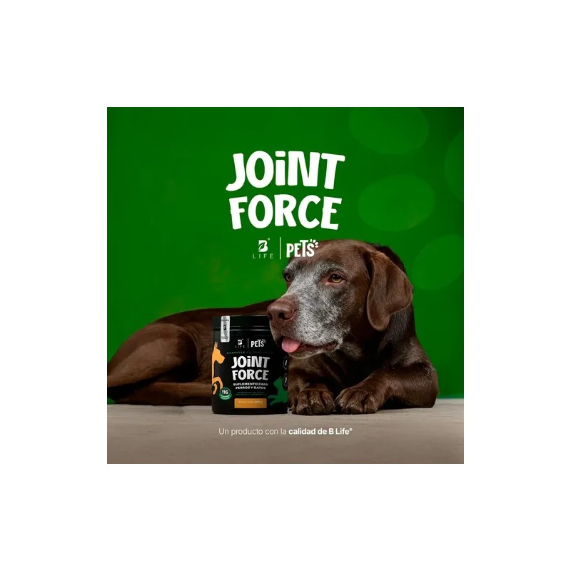 Suplemento B Life Joint Force Colágeno Cápsula 416g
