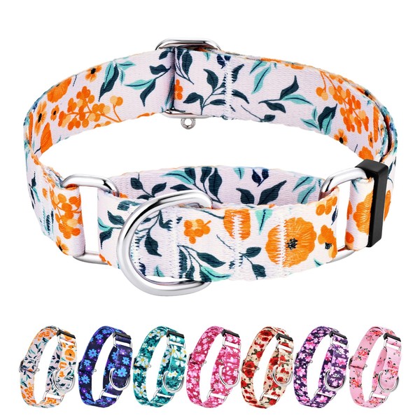 Hikiko Martingale Collar for Dogs with No Buckle Flower Dog