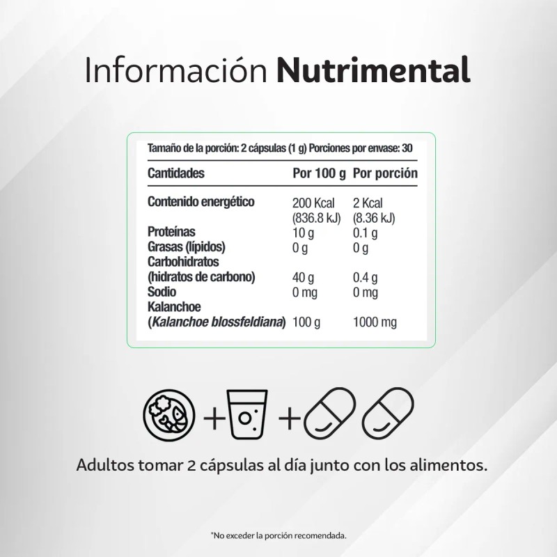 Castao De Indias Kalanchoe 60 Cps Bienestar De Piernas Sin
