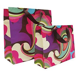 EASYVIEW Gift Storage Organizer or Wrap Ribbons Bows Cards (Paisley Fun, Set of 2)