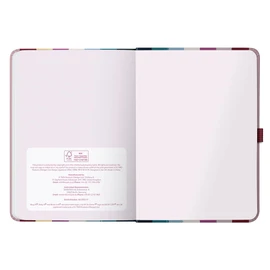 Busy B - Busy Life A5 Weekly Planner Journal 2026 - Appointment Calendar for Students, Teachers, Work and More with Two Schedules, Annual Calendar, Pen Loop & Elastic Closure Strap - Multi Stripes