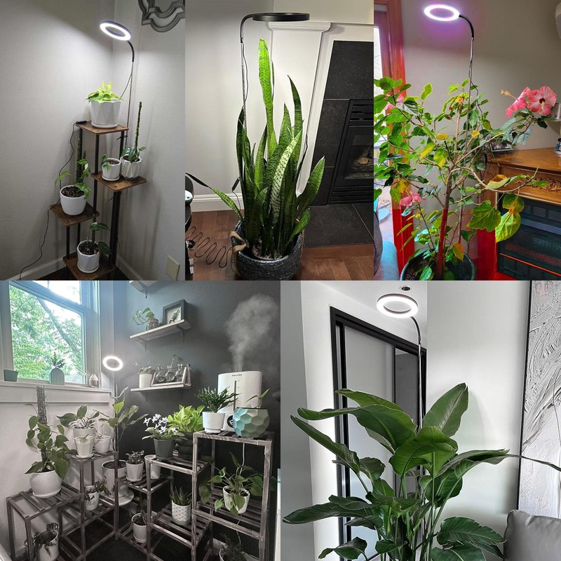 YZIXNUY Plant Lamp for Indoor Plants-Full Spectrum Plant Grow Lights
