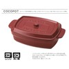 Takenaka Kokopotto Rectangular Bento Box