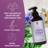 Organic Anti-Yellow Shampoo | Formula 3X More Effective | Toning