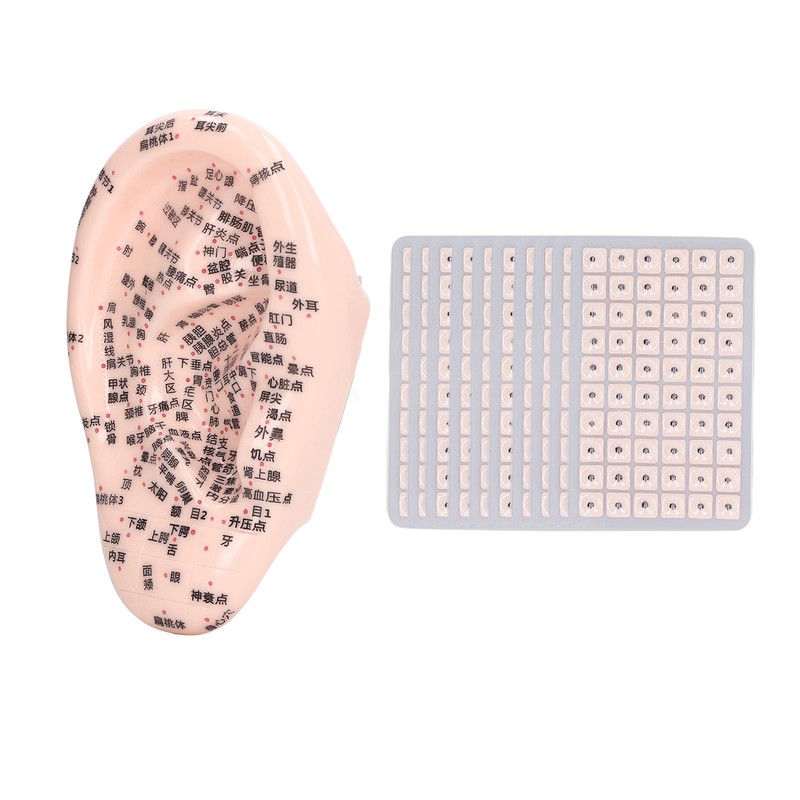 17cm Ear Point Probe 600pcs Auricular Patches Silicone Ear Model
