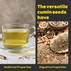 Ramaroma Cumin Seeds Whole (Jeera) Spice 3.5oz (100g) ~ All