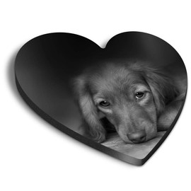 1 x Heart MDF Magnets - Adorable Spaniel Puppy Dog 39563