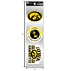 Rico Industries RSS2501: Eagles 3-Piece Retro Spirit Decals