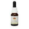 Tall Yellow Top 15 ml Stockbottle Australian Bush Flower Essences