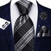 Hi-Tie Black Grey Mens Ties and Flower Lapel Pin Set