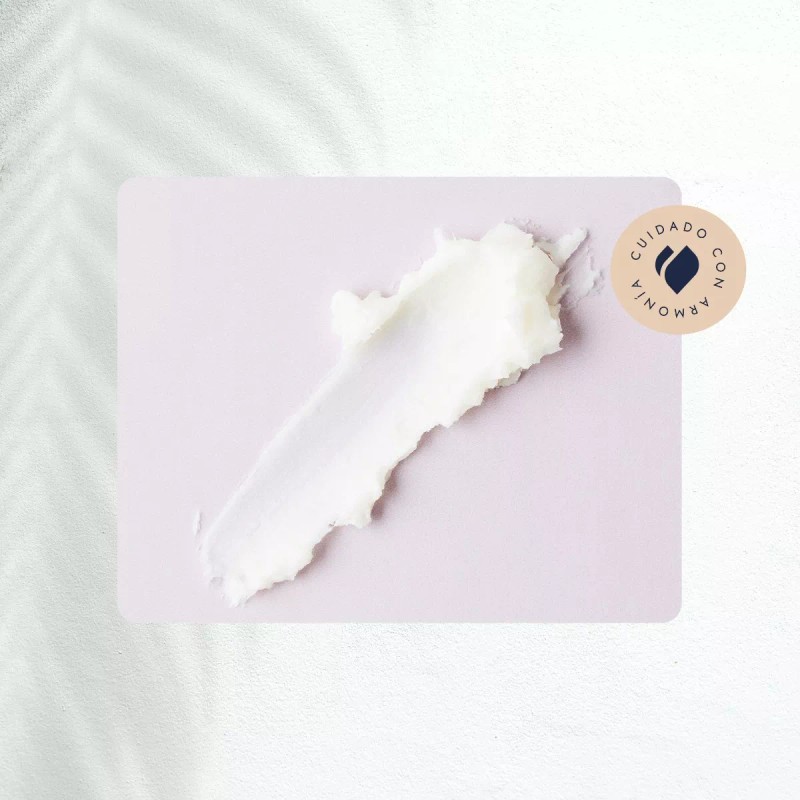 HEBBE COSMETICS MVL12 1VTL1 Manteca De Karité Pura Organica 250g