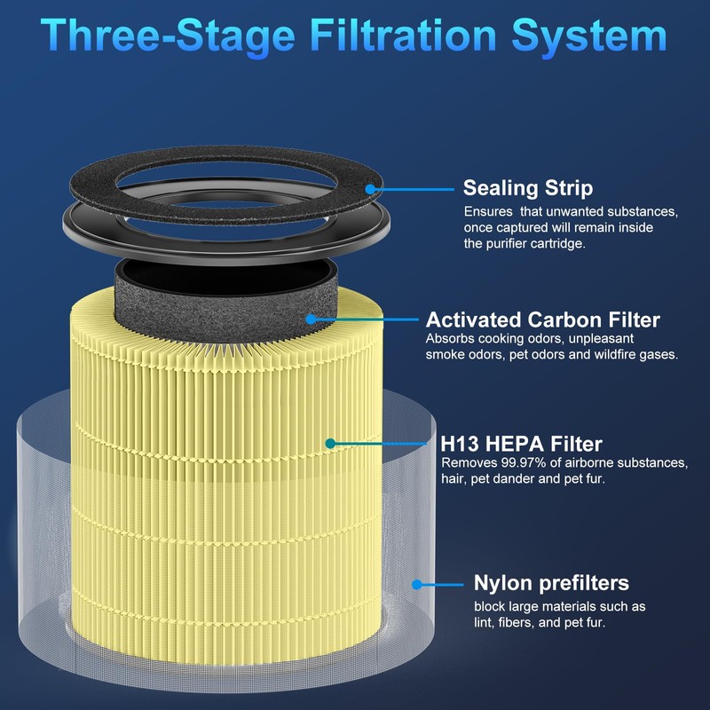 Tailulu D10 Replacement Filter,Air Purifier Filter for Tailulu D10 Air