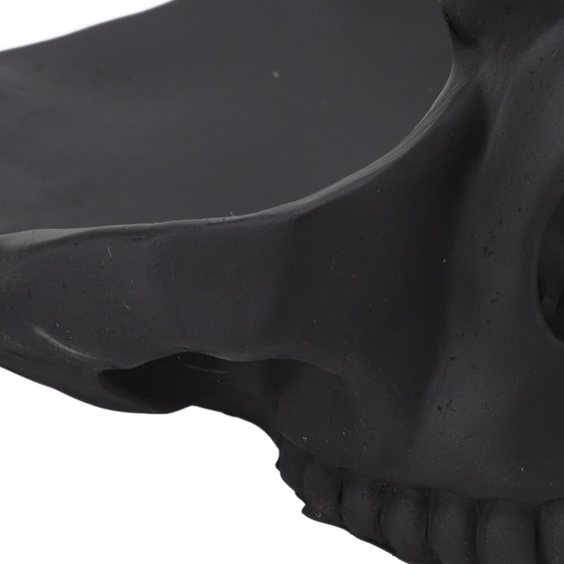 Focket Soporte para Gafas de Calavera, Práctico Soporte Creativo para