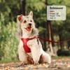 Didog No Pull Dog Harness for Small Dogs, Soft &