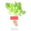Yardwe Hydroponics 50 Pieces Garden Clone Collars Cloning TZE System