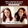 Herbishh - Champú colorante para cabello gris, champú con tinte